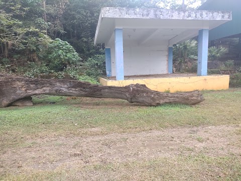 泰武國小