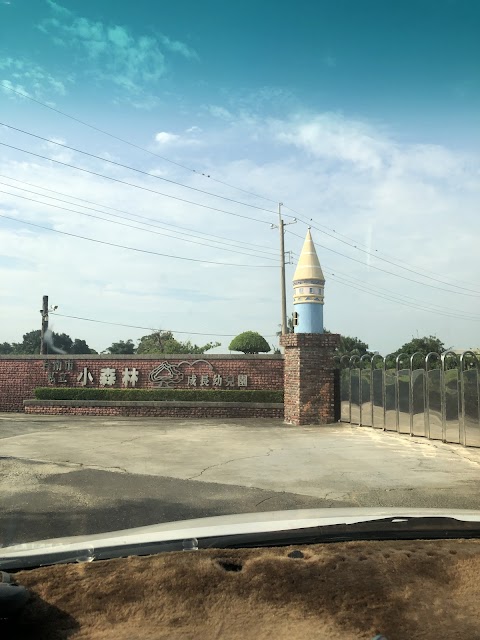 私立小森林成長幼兒園