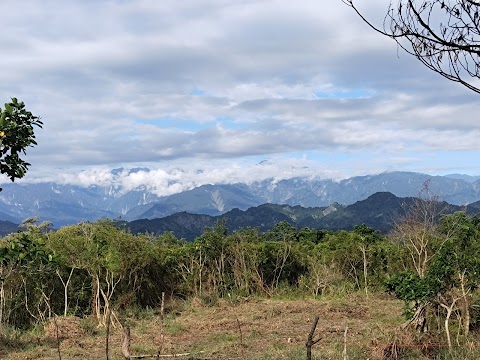八里灣分校