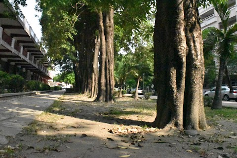 國立虎尾高級農工職業學校