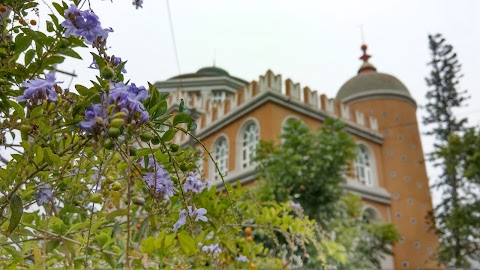 私立橘子園幼稚園